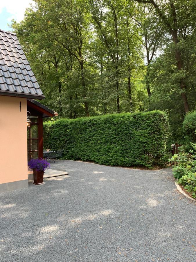 Romantisch Gastenverblijf 'Het Vogelhuisje' لونتيرين المظهر الخارجي الصورة